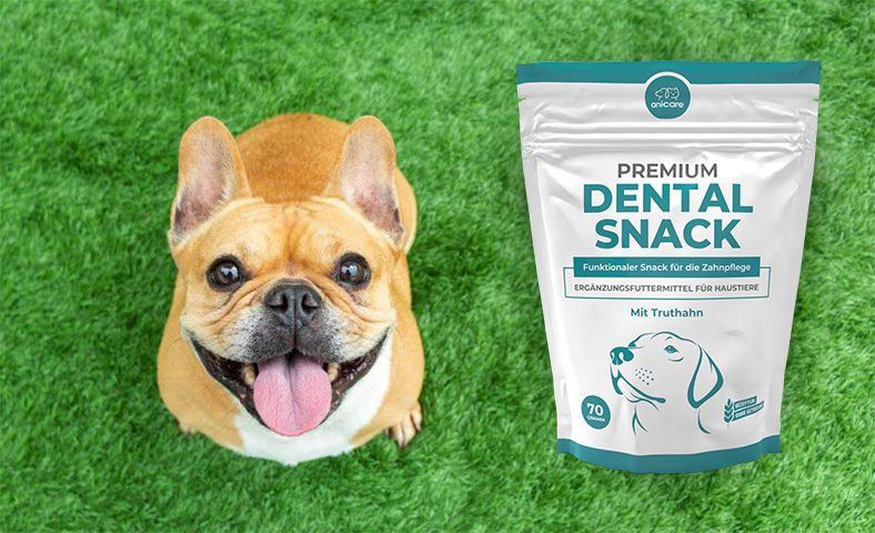 premium Dental Snack con cani