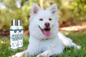 Cane - Premium Natural Itch Control