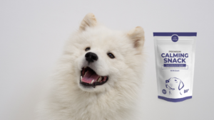 Premium Calming Snack con cani