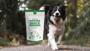 Premium immune snack. cane che corre nel bosco con una palla in mano