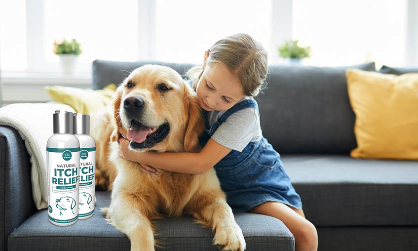 Premium Natural Itch Relief - cane con bambino sul divano